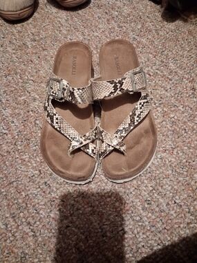 RASOLLI Snake Print Buckle Toe-Loop Sandals - Neutral Tan